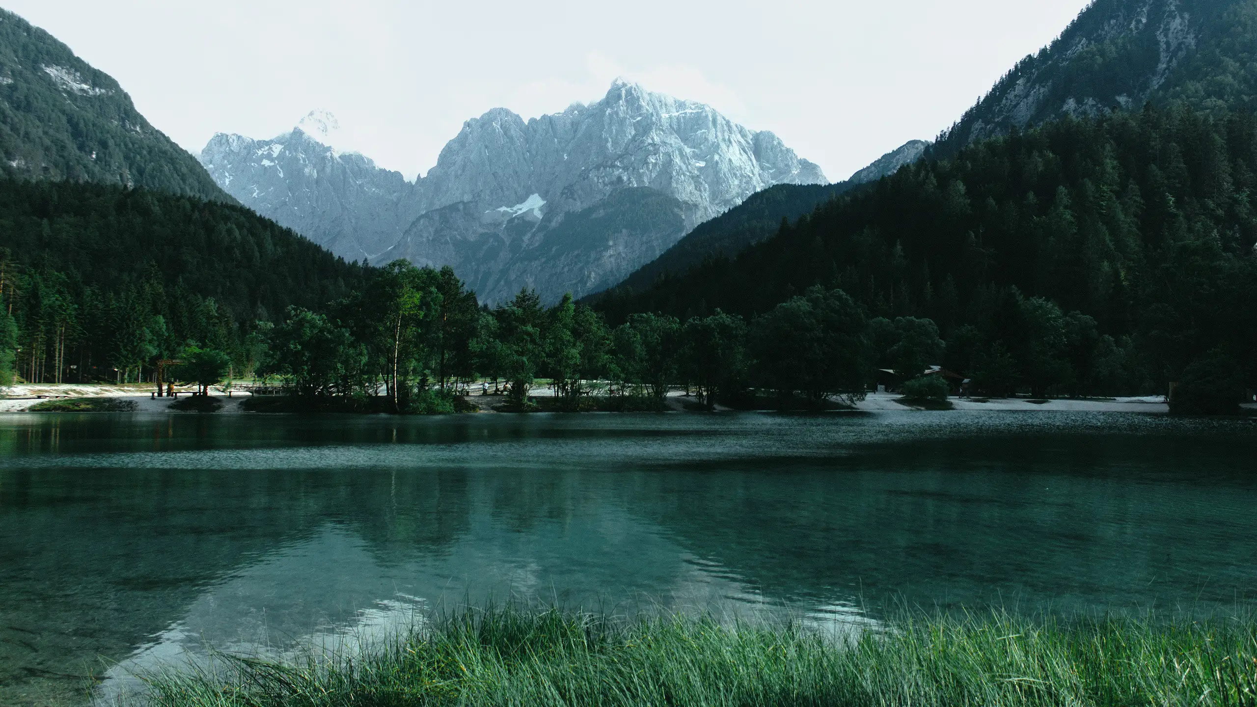 自然の静けさを再発見する場所